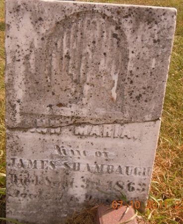 SHAMBAUGH, ANN MARIA - Dallas County, Iowa | ANN MARIA SHAMBAUGH 