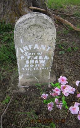 SHAW, INFANT - Dallas County, Iowa | INFANT SHAW 