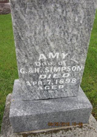 SIMPSON, AMY - Dallas County, Iowa | AMY SIMPSON 