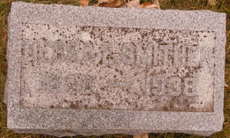 SMITHER, DEBRA E. - Dallas County, Iowa | DEBRA E. SMITHER 