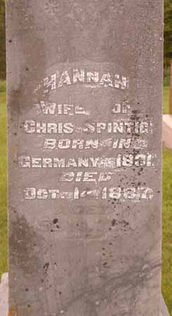 SPINTIG, HANNAH - Dallas County, Iowa | HANNAH SPINTIG 