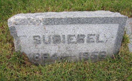 STANELY, SUDIEBEL - Dallas County, Iowa | SUDIEBEL STANELY 