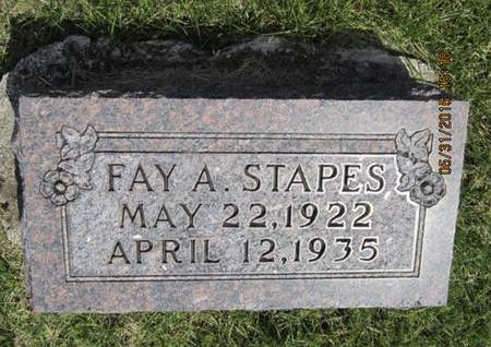 STAPES, FAY A - Dallas County, Iowa | FAY A STAPES 