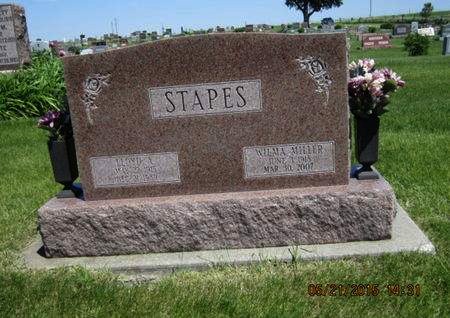 STAPES, WILMA - Dallas County, Iowa | WILMA STAPES 