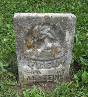 STEINER, FRED - Dallas County, Iowa | FRED STEINER 