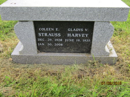 STRAUSS, COLEEN E - Dallas County, Iowa | COLEEN E STRAUSS 