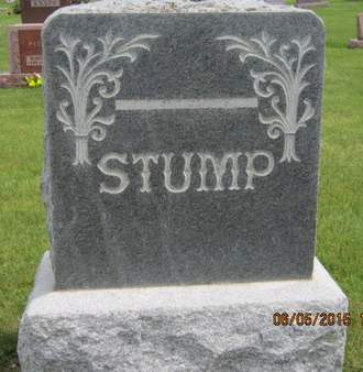 STUMP, FAMILY STONE - Dallas County, Iowa | FAMILY STONE STUMP 