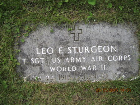 STURGEON, LEO E - Dallas County, Iowa | LEO E STURGEON 
