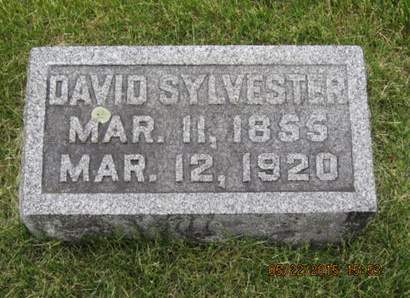 SYLVESTER, DAVID - Dallas County, Iowa | DAVID SYLVESTER 