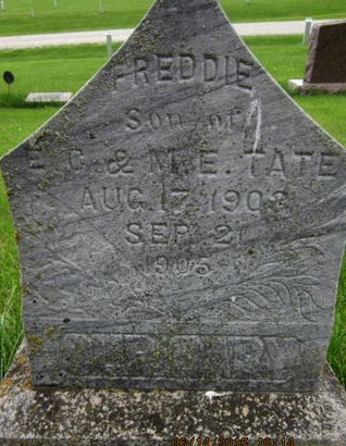 TATE, FREDDIE - Dallas County, Iowa | FREDDIE TATE 