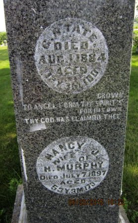 MURPHY, NANCY J - Dallas County, Iowa | NANCY J MURPHY 