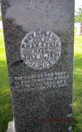 TATE, ROY ROLLIN - Dallas County, Iowa | ROY ROLLIN TATE 