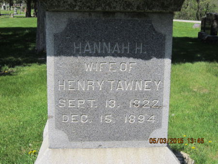 TAWNEY, HANNAH H - Dallas County, Iowa | HANNAH H TAWNEY 
