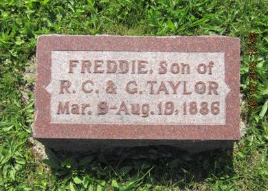TAYLOR, FREDDIE - Dallas County, Iowa | FREDDIE TAYLOR 