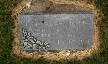TIBBEN, LORI ANN - Dallas County, Iowa | LORI ANN TIBBEN 