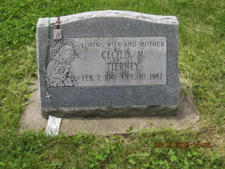 TIERNEY, CECILIA M - Dallas County, Iowa | CECILIA M TIERNEY 