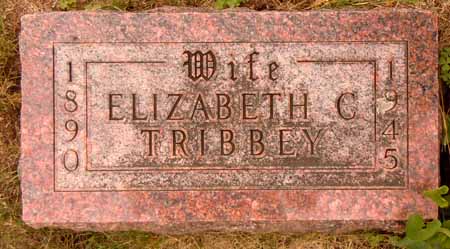 TRIBBEY, ELIZABETH C - Dallas County, Iowa | ELIZABETH C TRIBBEY 