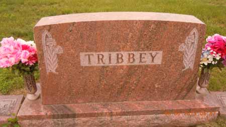TRIBBEY, FAMILY STONE - Dallas County, Iowa | FAMILY STONE TRIBBEY 