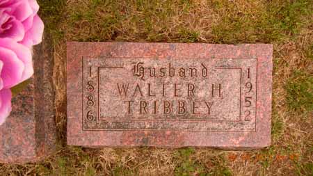 TRIBBEY, WALTER H - Dallas County, Iowa | WALTER H TRIBBEY 