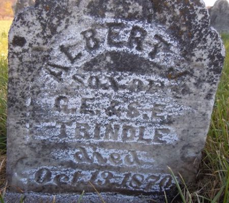 TRINDLE, ALBERT - Dallas County, Iowa | ALBERT TRINDLE 