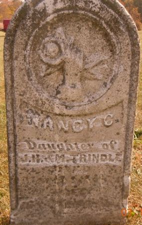 TRINDLE, NANCY C. - Dallas County, Iowa | NANCY C. TRINDLE 