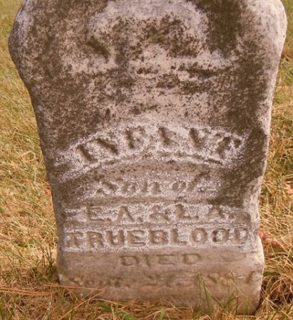 TRUEBLOOD, INFANT SON - Dallas County, Iowa | INFANT SON TRUEBLOOD 