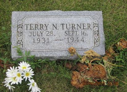TURNER, TERRY N - Dallas County, Iowa | TERRY N TURNER 