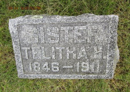 VERMILLION, TELITHA H - Dallas County, Iowa | TELITHA H VERMILLION 