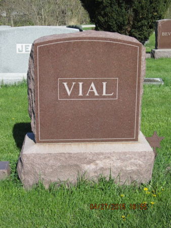 VIAL, FAMILY STONE - Dallas County, Iowa | FAMILY STONE VIAL 