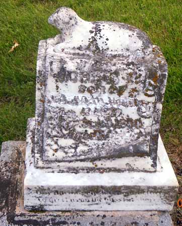 VOGEL, JOHNNIE W - Dallas County, Iowa | JOHNNIE W VOGEL 