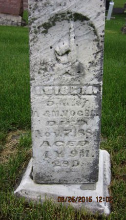 VOGEL, LOISE M - Dallas County, Iowa | LOISE M VOGEL 