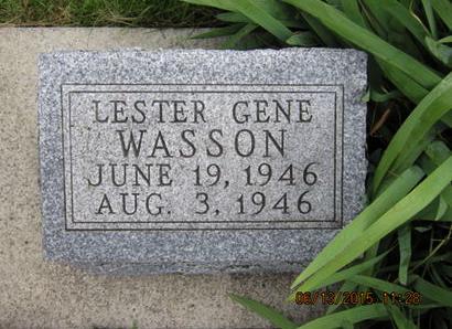 WASSON, LESTER GENE - Dallas County, Iowa | LESTER GENE WASSON 