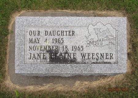WEESNER, JANE ELAINE - Dallas County, Iowa | JANE ELAINE WEESNER 