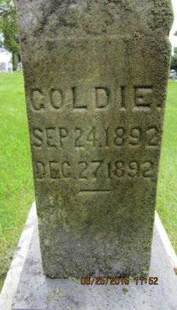 WETRICH, GOLDIE - Dallas County, Iowa | GOLDIE WETRICH 