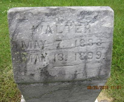 WETRICH, WALTER - Dallas County, Iowa | WALTER WETRICH 