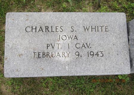 WHITE, CHARLES S - Dallas County, Iowa | CHARLES S WHITE 