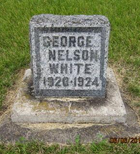 WHITE, GEORGE NELSON - Dallas County, Iowa | GEORGE NELSON WHITE 