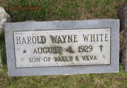 WHITE, HAROLD WAYNE - Dallas County, Iowa | HAROLD WAYNE WHITE 