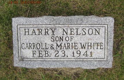 WHITE, HARRY NELSON - Dallas County, Iowa | HARRY NELSON WHITE 