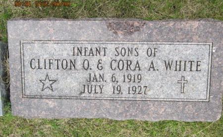 WHITE, INFANT SONS - Dallas County, Iowa | INFANT SONS WHITE 