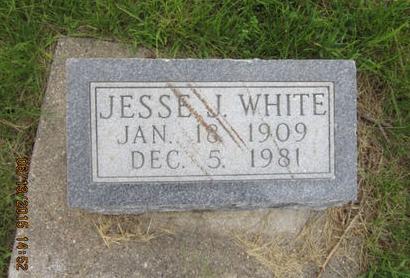 WHITE, JESSE J - Dallas County, Iowa | JESSE J WHITE 