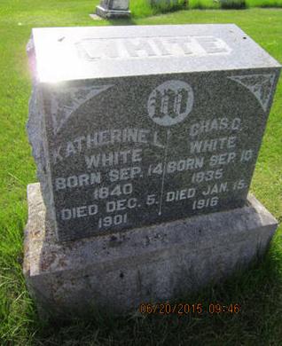 WHITE, CHAS C - Dallas County, Iowa | CHAS C WHITE 