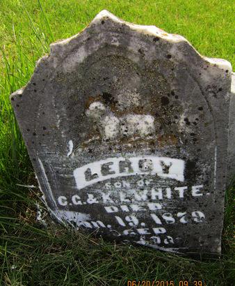 WHITE, LEROY - Dallas County, Iowa | LEROY WHITE 