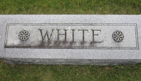 WHITE, FAMILY STONE - Dallas County, Iowa | FAMILY STONE WHITE 