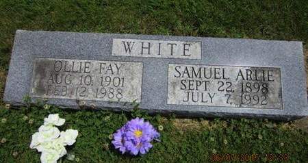 WHITE, SAMUEL ARLIE - Dallas County, Iowa | SAMUEL ARLIE WHITE 