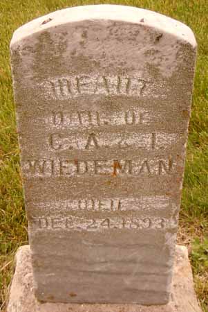 WIEDEMAN, INFANT - Dallas County, Iowa | INFANT WIEDEMAN 