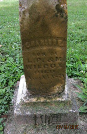 WILCOX, CHARLIE E - Dallas County, Iowa | CHARLIE E WILCOX 