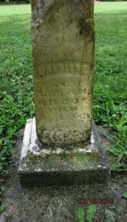 WILCOX, GARVILLE - Dallas County, Iowa | GARVILLE WILCOX 