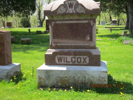 WILCOX, FAMILY STONE - Dallas County, Iowa | FAMILY STONE WILCOX 