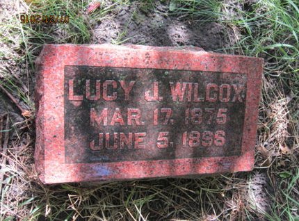 WILCOX, LUCY J - Dallas County, Iowa | LUCY J WILCOX 